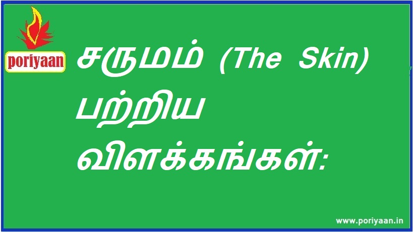சருமம் (The Skin) பற்றிய விளக்கங்கள் Descriptions of The Skin - மருத்துவ குறிப்புகள் Medicine Tips