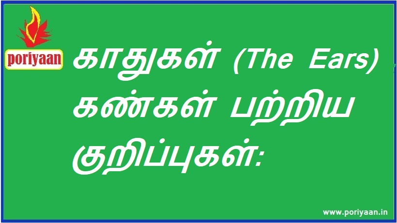 காதுகள் (The Ears) கண்கள் பற்றிய குறிப்புகள் Notes on The Ears, Eyes - மருத்துவ குறிப்புகள் Medicine Tips
