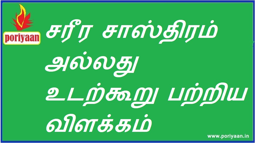 சரீர சாஸ்திரம் அல்லது உடற்கூறு பற்றிய விளக்கம் Explanation of Sarira Shastra or Anatomy - மருத்துவ குறிப்புகள் Medicine Tips