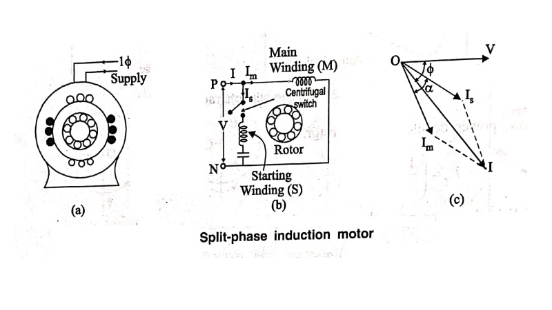 Split Phase Induction Motor - Construction, Circuit Diagram, Characteristics, Applications