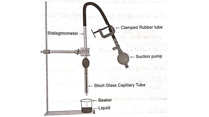 Experimental determination of Surface Tension by Drop Weight Method