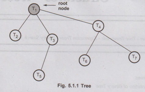 Trees - Basic Terminologies | Non-Linear Data Structures