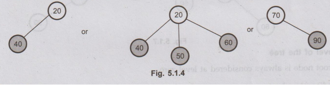 Trees - Basic Terminologies | Non-Linear Data Structures