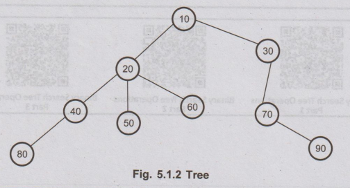 Trees - Basic Terminologies | Non-Linear Data Structures