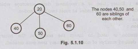 Trees - Basic Terminologies | Non-Linear Data Structures