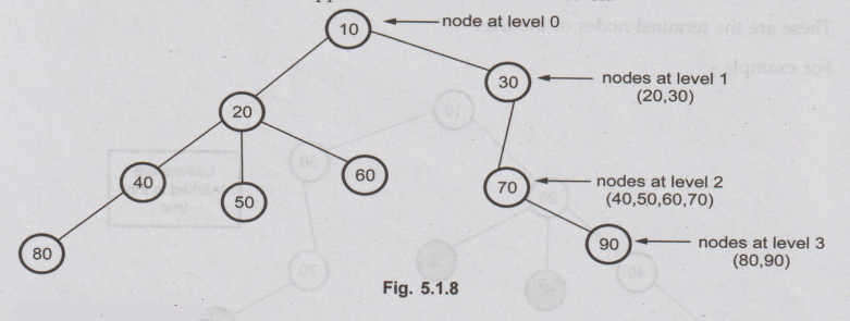 Trees - Basic Terminologies | Non-Linear Data Structures