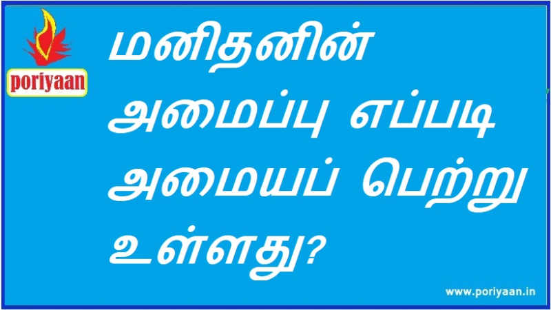 மனிதனின் அமைப்பு எப்படி அமையப் பெற்று உள்ளது?