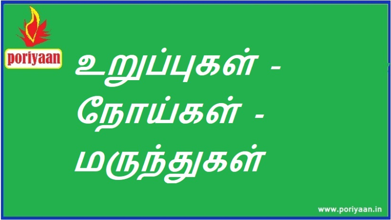 உறுப்புகள் - நோய்கள் - மருந்துகள் | Organs - Diseases - Medicines
